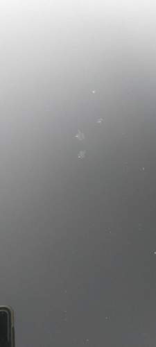 IMG_20200808_182756.jpg