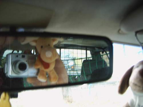 Img02375