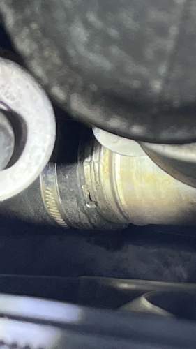 Asset.HEIC.jpg