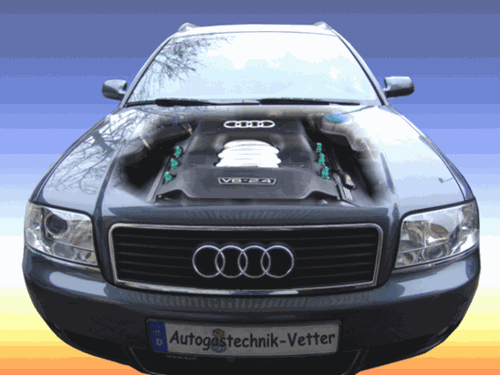 Audia6