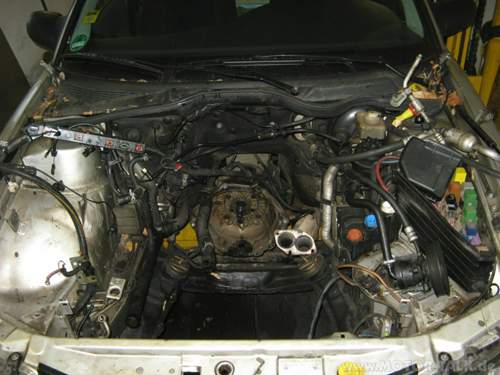 Img-0032