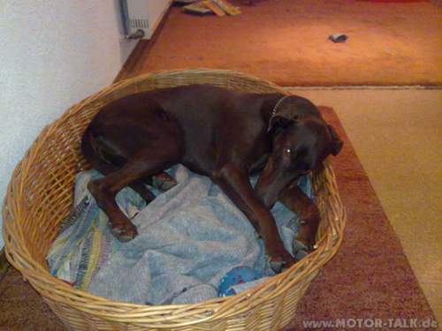 Bild-2