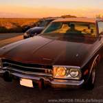 Road Runner in der Abendsonne