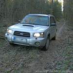 Langläufer mit Standfestigkeit..so wird es meist berichtet beim Subaru Forester