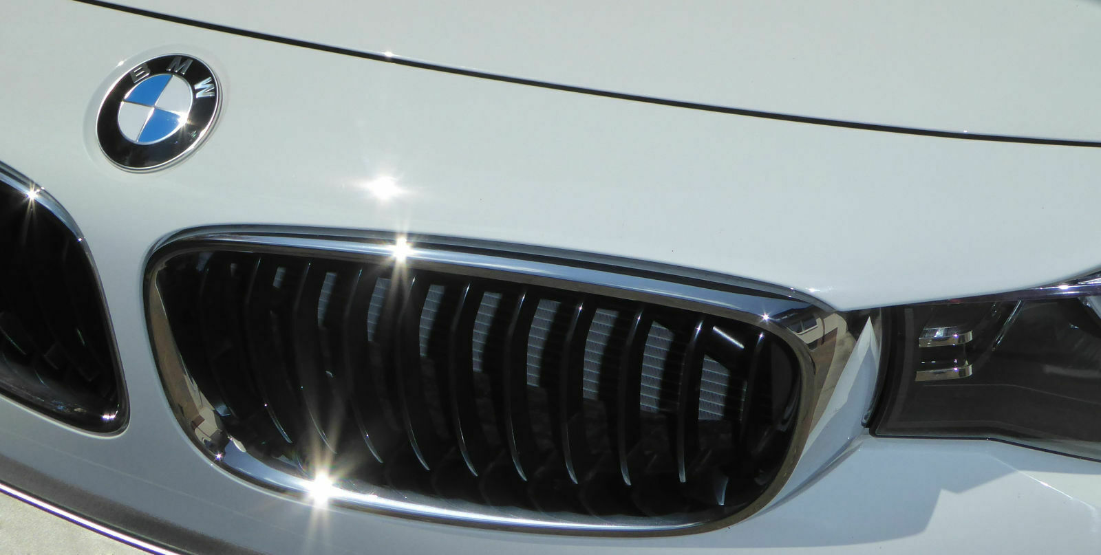 Autowaschanlage oder Handwäsche?