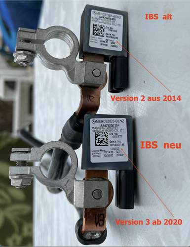 IBS - Historie