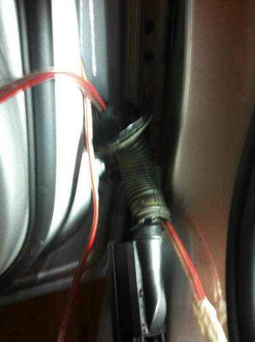 Img-3268