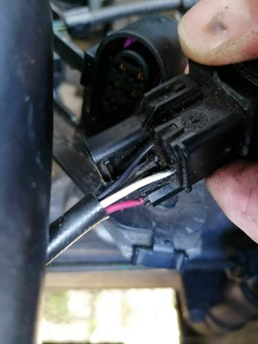 Stecker parallel zu Adern