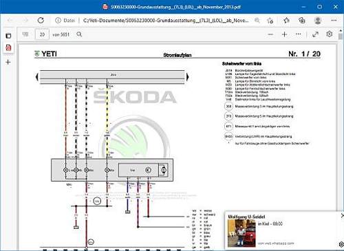 Skoda-strom