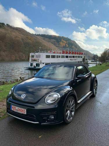Beetle