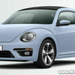 Beetleaussen1