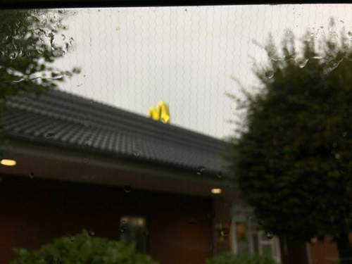 Img-1835