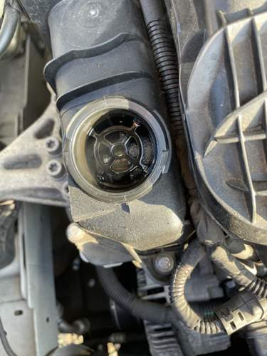 Geölzahnriemter Motor