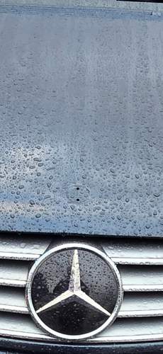 Fehlender Motorhaube-Stern
