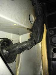 Img-2365