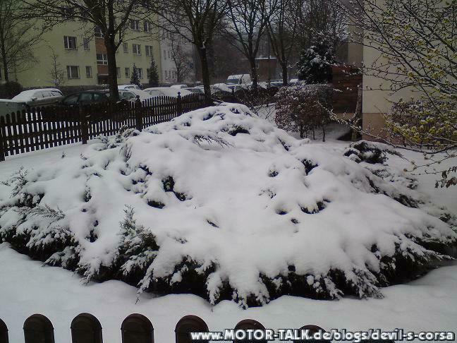 Berlin bei Schnee
