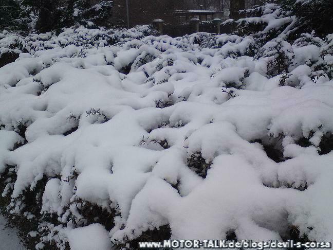 Berlin bei Schnee
