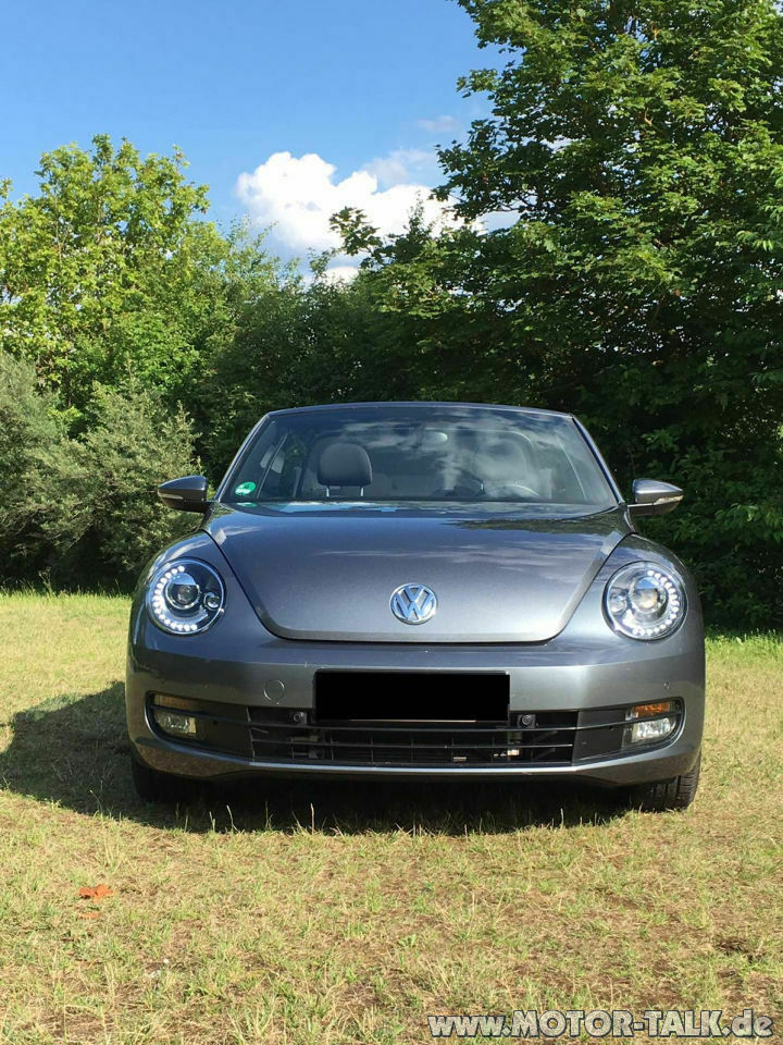 Bessere Glühlampen Beetle