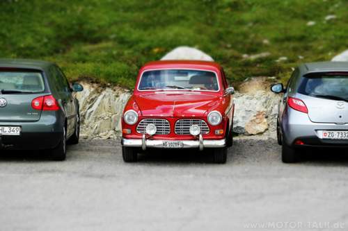 Img-0246