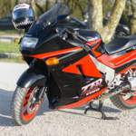 Zzr1100-nippon-classics