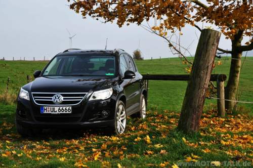 Bild-2