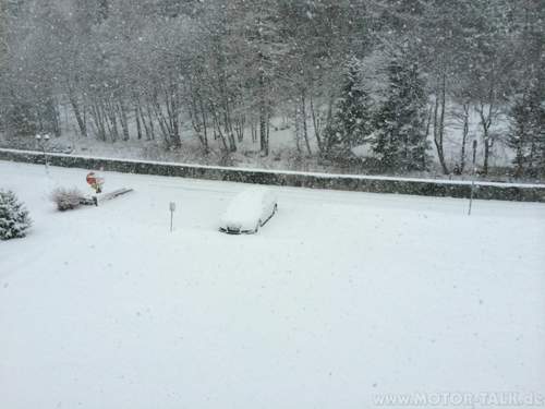 Img-7410