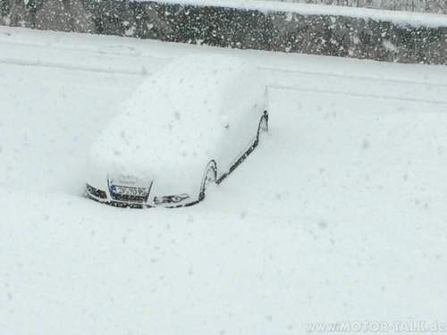 Img-7411