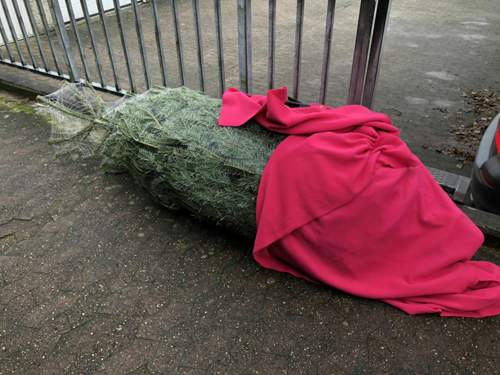 2,50 M Weihnachtsbaum.
