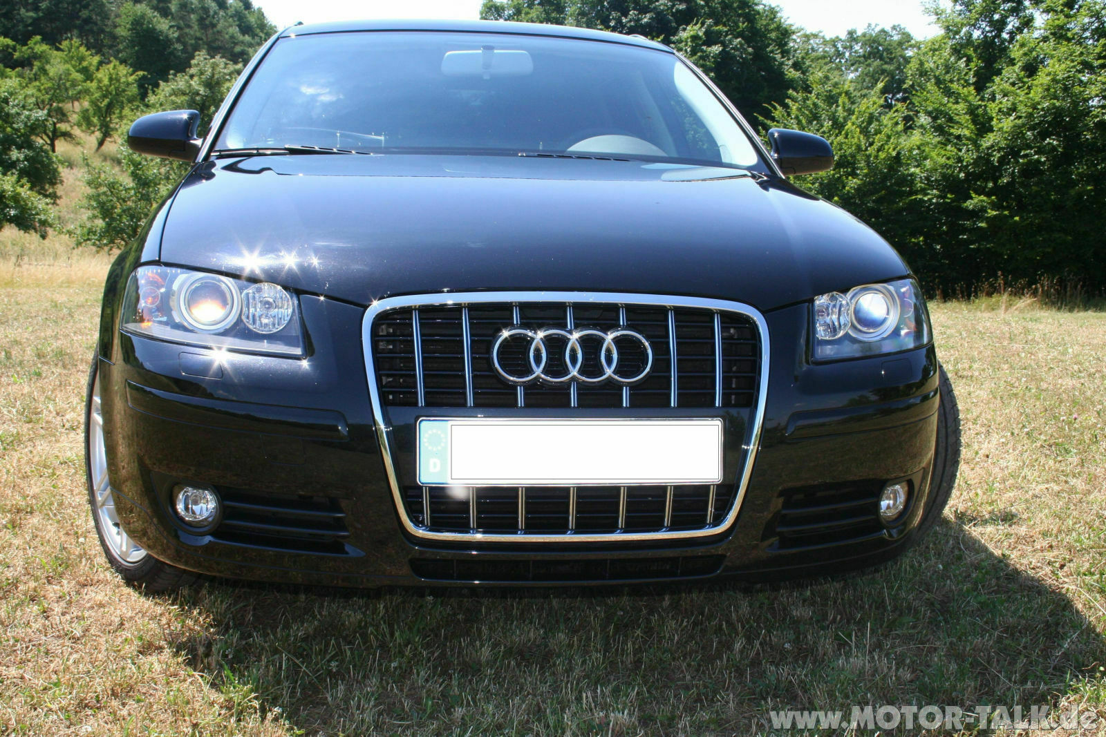 Bilder schwarz lackierter grill