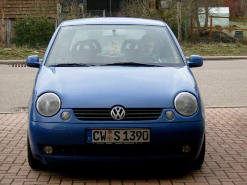 Lupo-16v