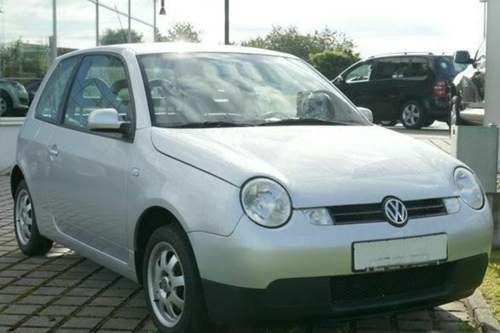 Lupo-fsi-1