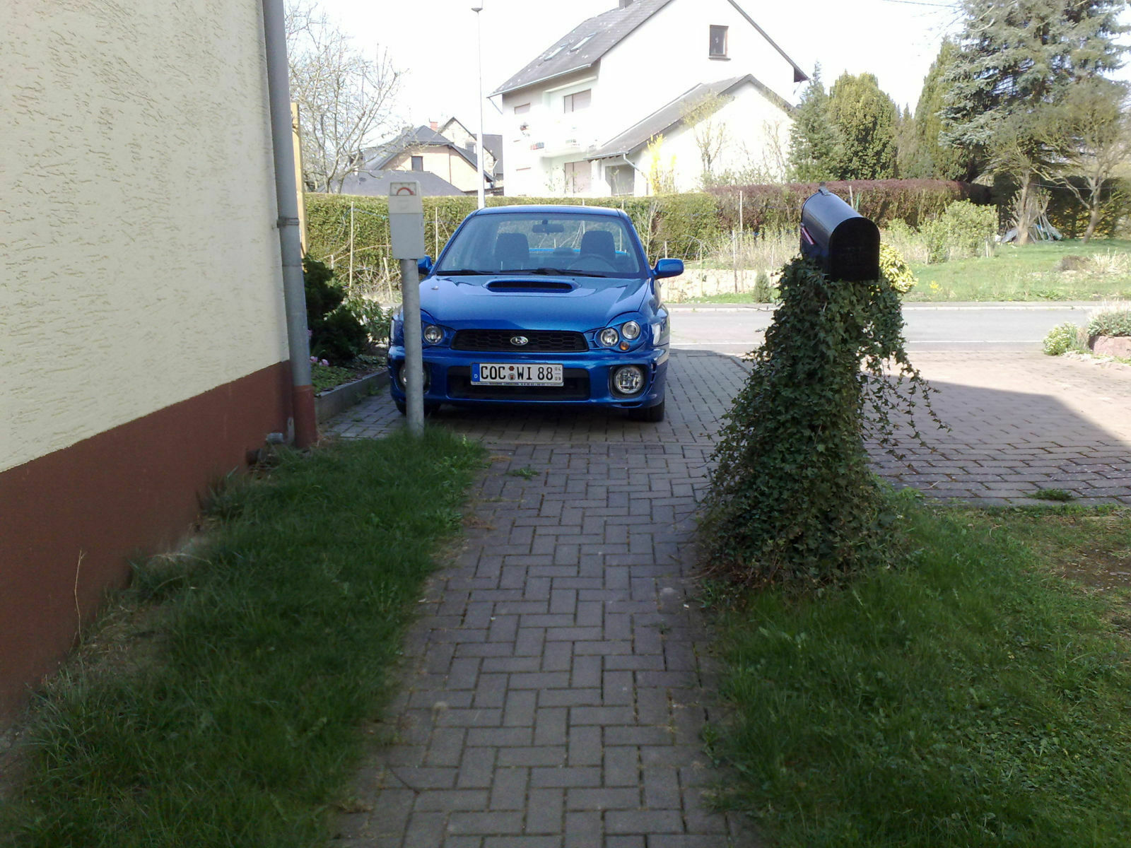 Bilder-Thread