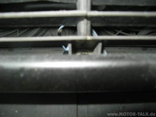 Img-2443