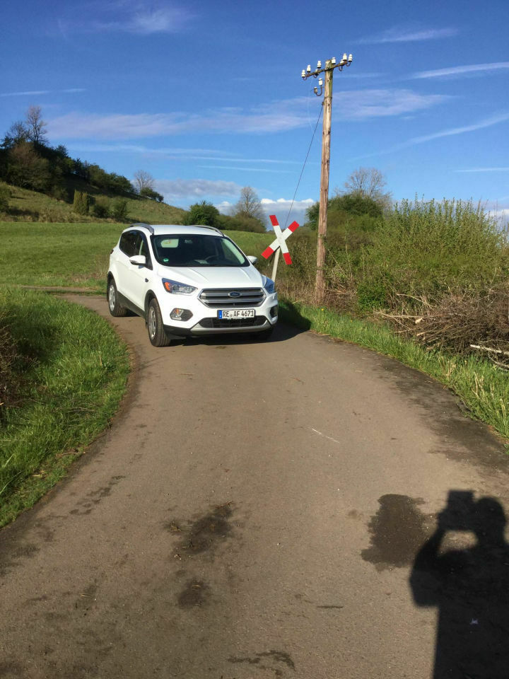 Bilder vom kuga
