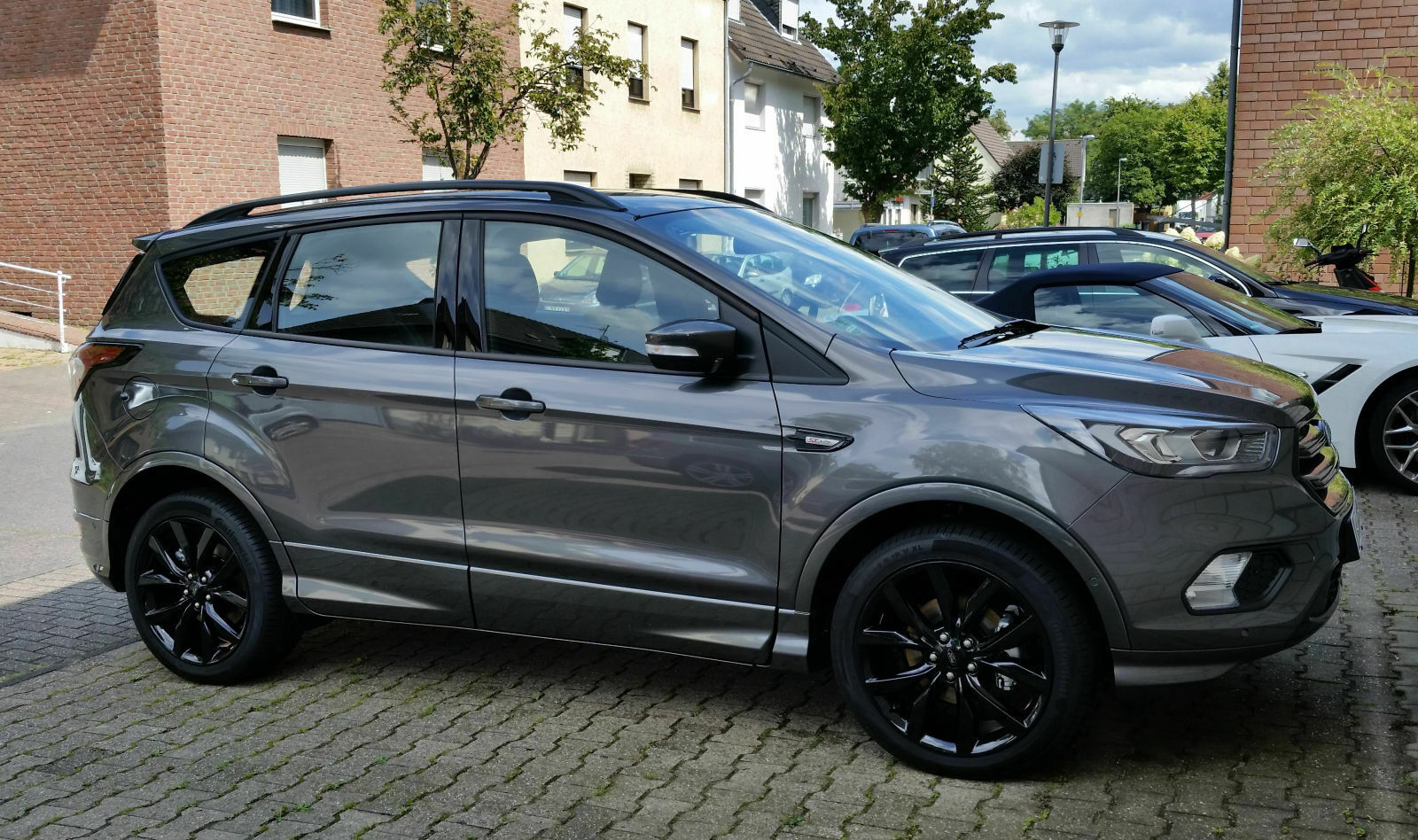 Bilder vom kuga