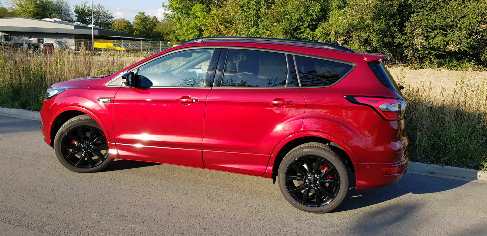 Bilder vom kuga