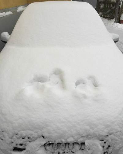 Schnee
