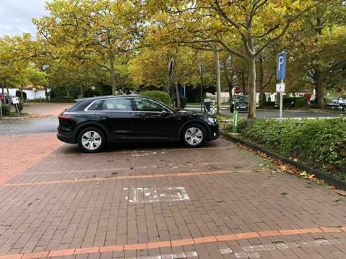 Etron1