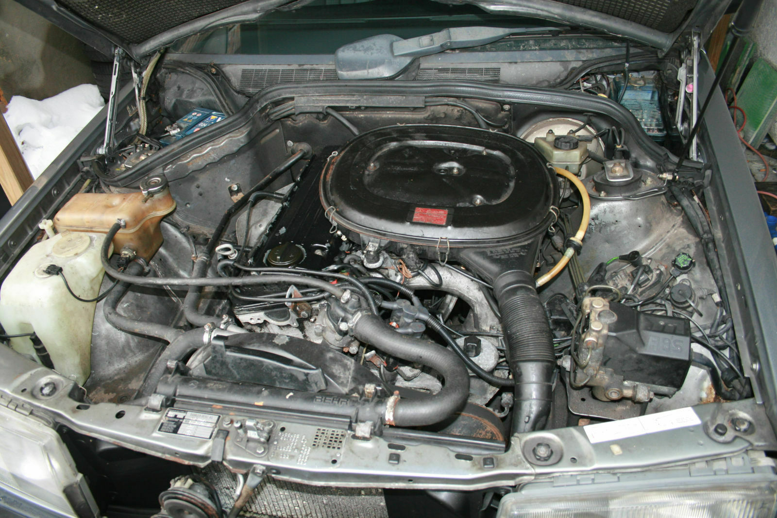 Bilder von Euren gepflegten Baby Daimlern