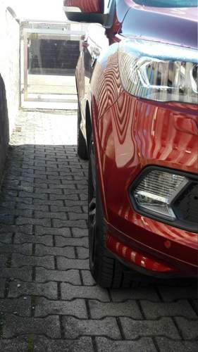 20180402_113042.jpg