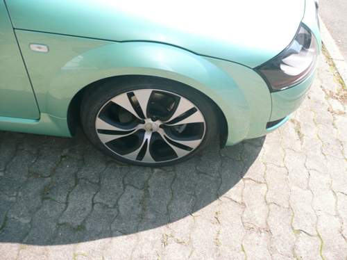 Bild-2