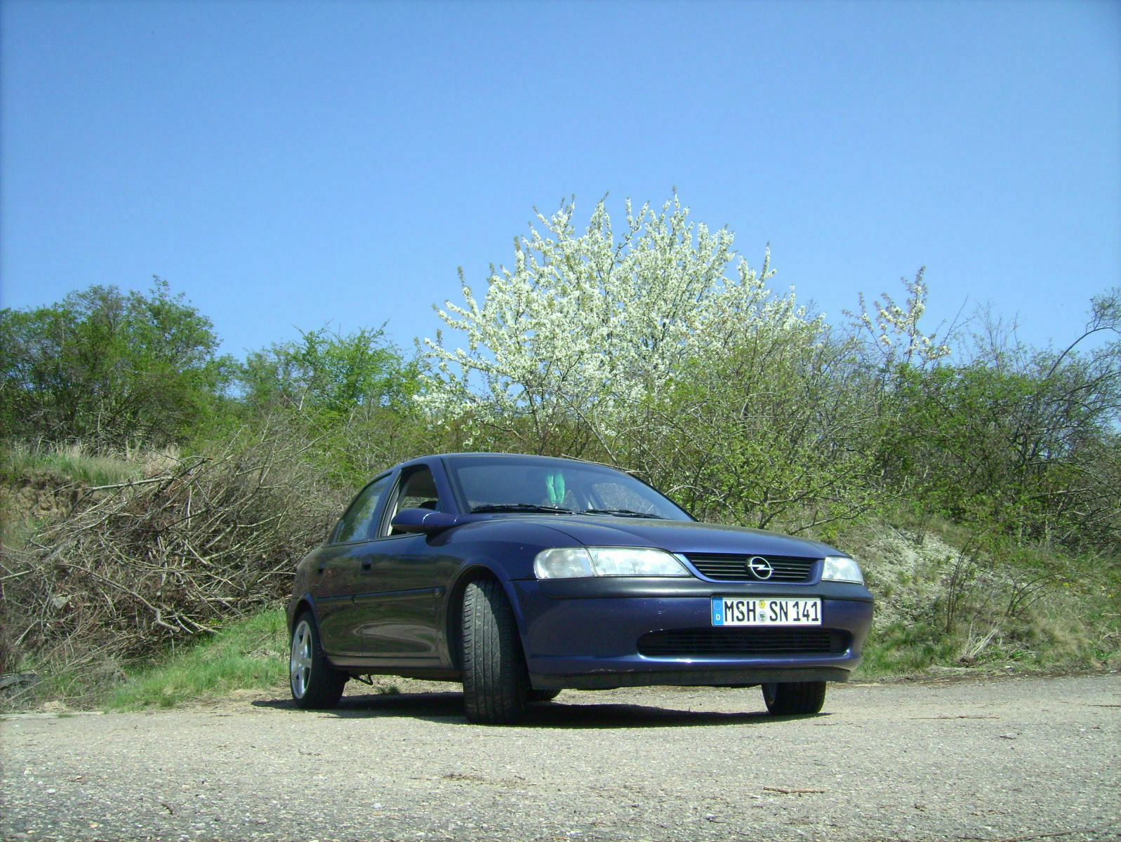 Bilder von unseren Auto´s...