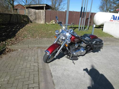 Img-0462-1