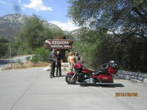Img-4860