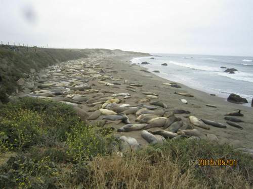 Img-4784