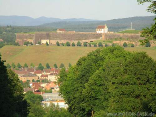 Img-0229