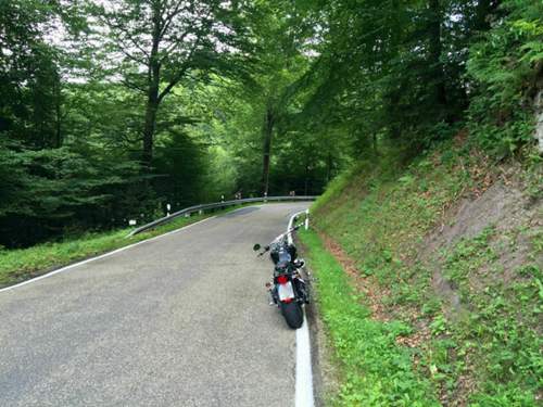 Img-1641