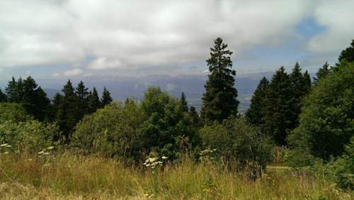Imag0195