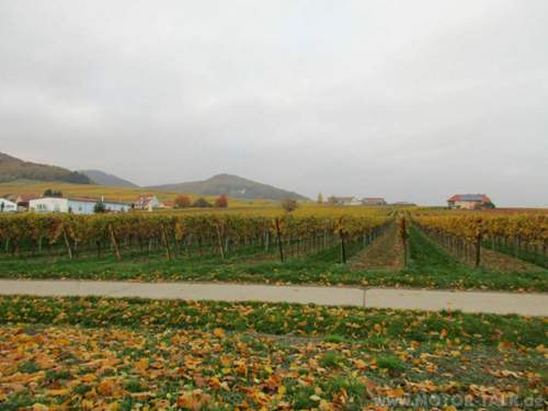 Img-0760