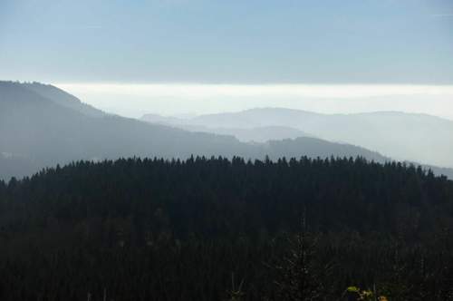 Foto2